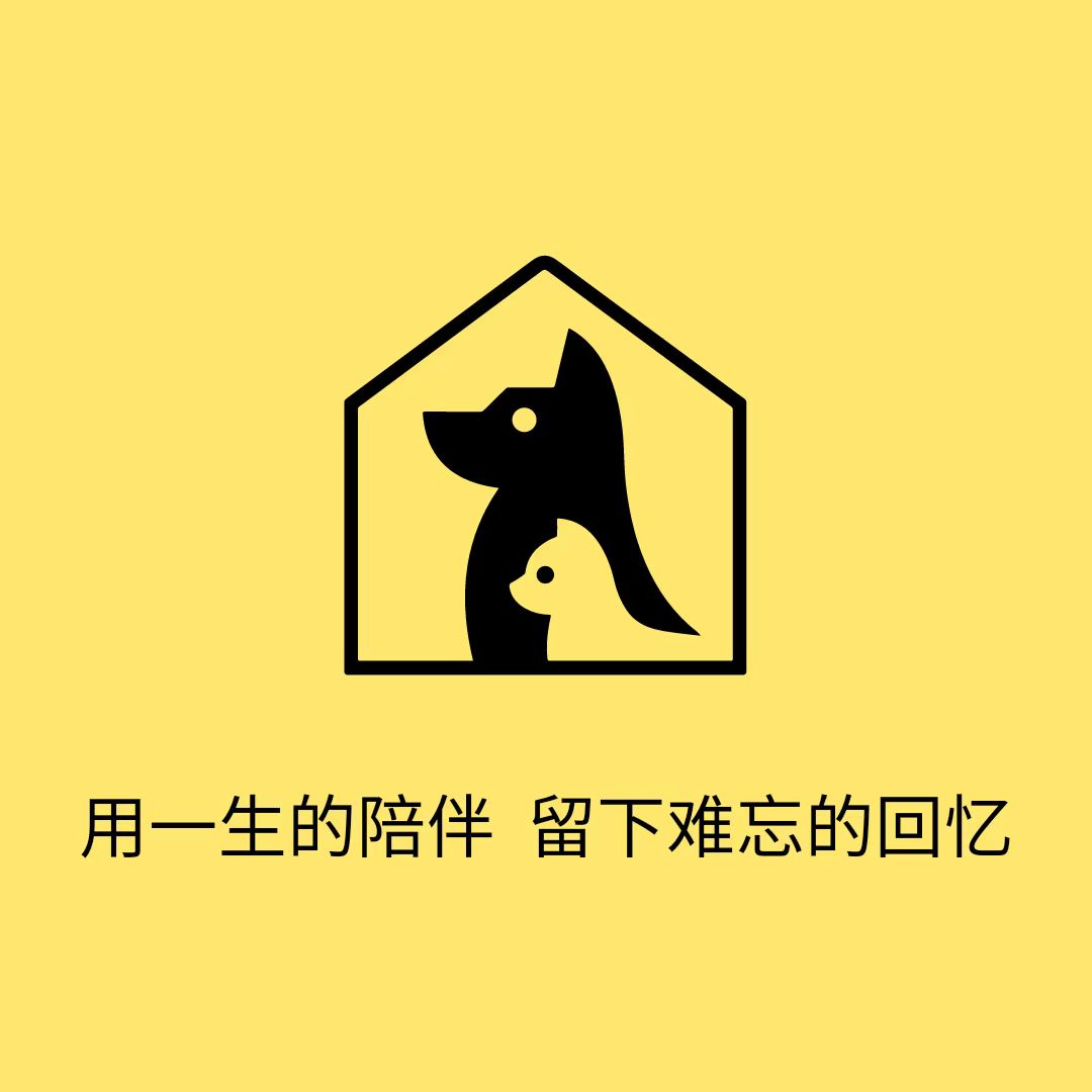 长春 宠念宠物殡葬火化善终
