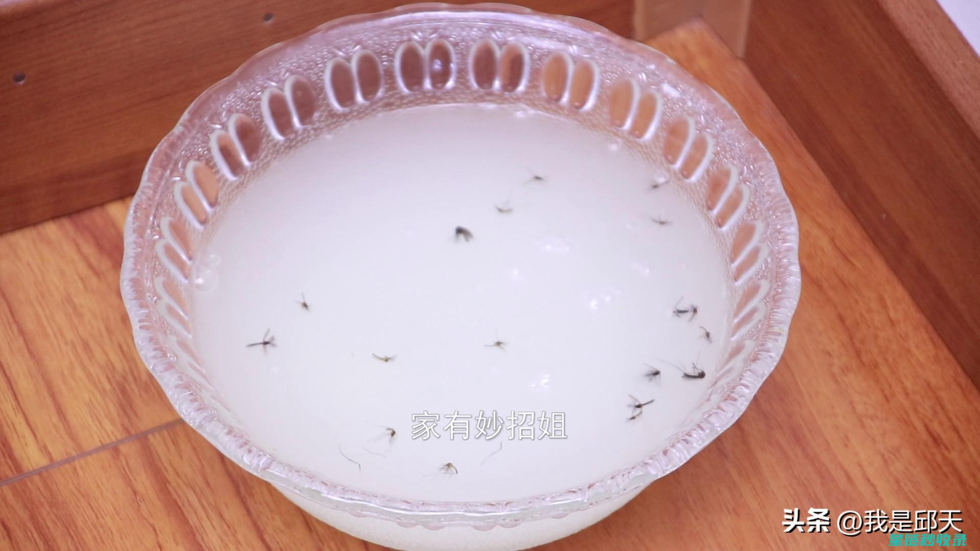 自制驱蚊液配方大揭秘：天然成分打造无害防护 (自制驱蚊液配方)
