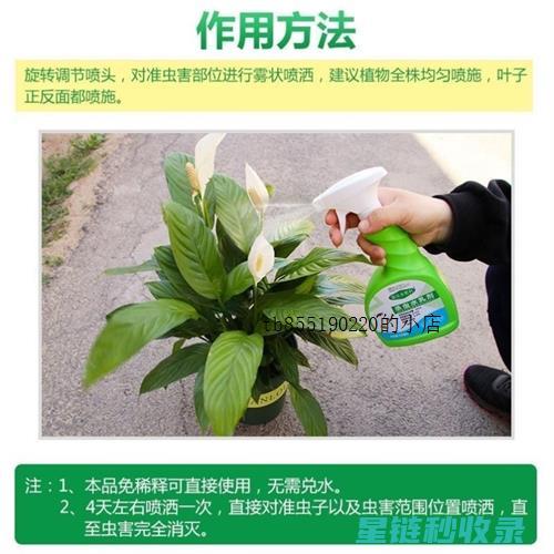 植物驱虫技巧：让你的蔬菜园地永远生机勃勃 (植物驱虫技巧有哪些)