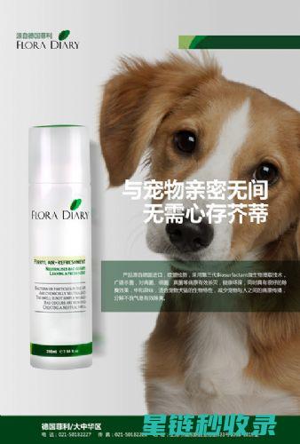 家庭除味新选择：自己动手制作除味包 (家庭除臭除异味的产品)
